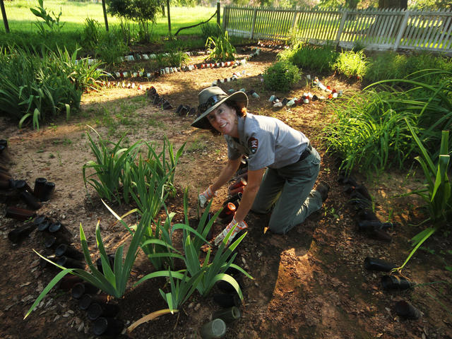 Bottle Garden, Oakland Plantation, Cane River Creole National Historical Park