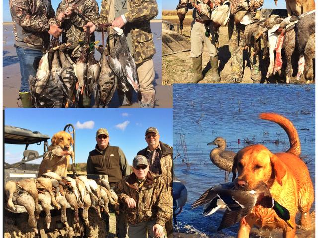 Capt. Scott Ritchey's Louisiana Outfitters L.L.C. Photo 5