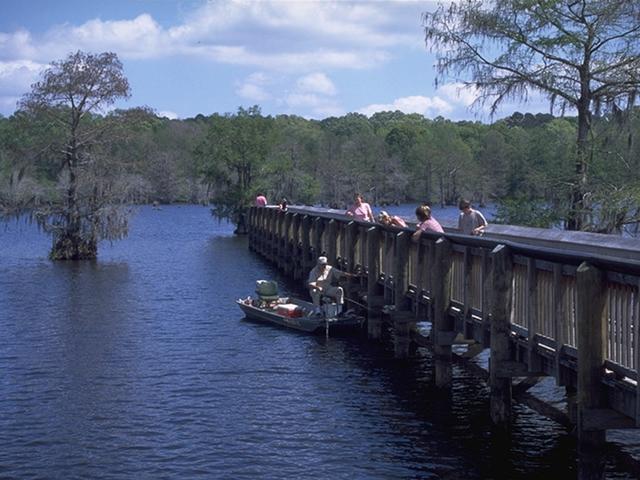The fishing pier at Chicot State Park. Photo 2