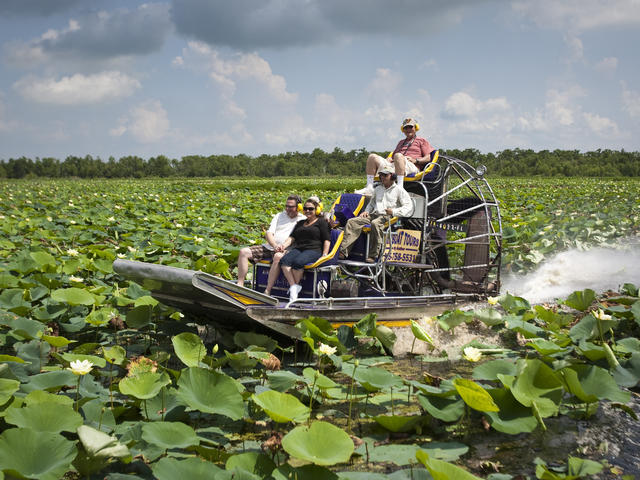 Take a thrilling ride through the marsh,swamps,and bayous filled with wildlife.