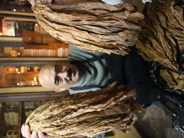 Cigar Factory New Orleans Photo 3
