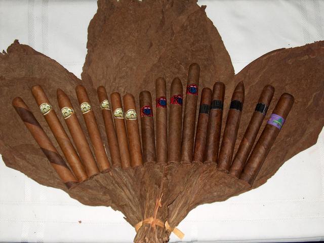 Cigar Factory New Orleans Photo 4