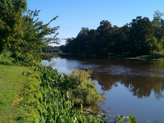 The beautiful Bayou Teche, which runs through St. Martinville