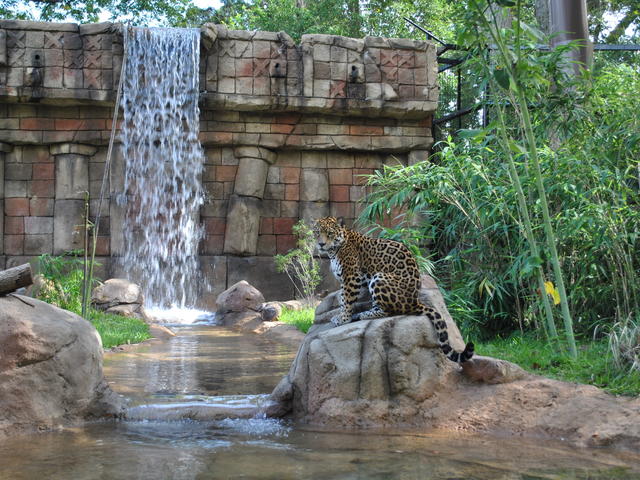 Land of the Jaguar