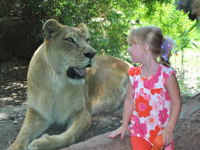 Get face to face with wildlife at the Alexandria Zoo!