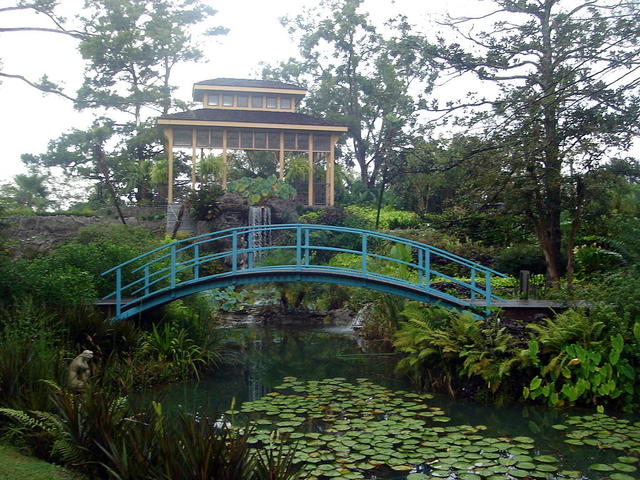 Gorgeous gardens available for touring on our Plantation Tours!