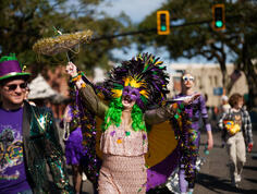 lafayette area mardi gras parades