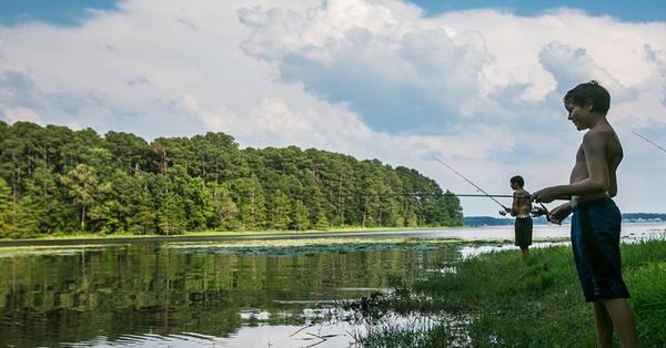 Nearest fishing spot top
