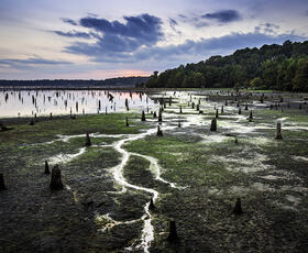 The swamp at Lake D'Arbonne State Park, with a beautiful sunset in the background.
