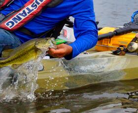 Bass fishing in the marsh in St. Bernard Parish, Louisiana.