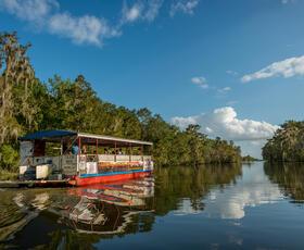 Swamp tour Houma