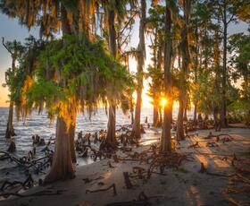 Fontainebleau State Park in Mandeville