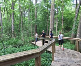 People hike through Bluebonnet Swamp.