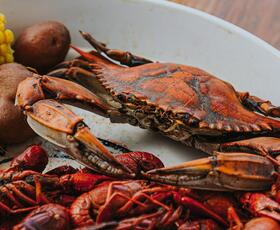 Blue Crab New Orleans