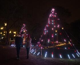 A light display in the shape of a Christmas tree at the Acadian Village during Christmastime in Louisiana.