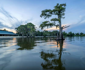 Cajun Coast