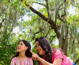 A family explores City Park in New Orleans.
