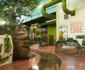 The interior forest exhibit at the Walter B Jacobs Nature Park.