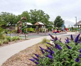 Children and families gather around a colorful playground at Moncus Park, with landscaped gardens and blooming purple flowers in the foreground.
