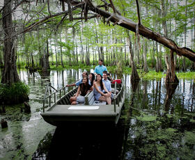 Honey island swamp tour