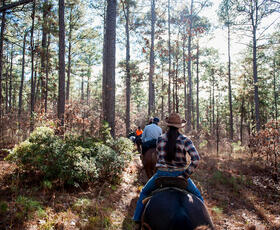 Kisatchie National Forest horseback riding