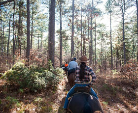 Horseback Riding in Kisatchie National Forest