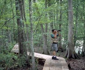 Lake Fausse Pointe Boardwalk