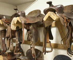 Saddles