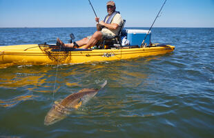 Kayak fishing for redfish in Grand Isle, Louisiana