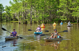 Discover-Webster-Parish