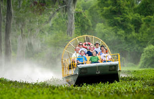Take an airboat ride through the Louisiana swamps.