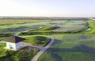 Mallard Cove Golf Club