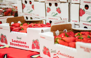 A flat of fresh Louisiana strawberries.