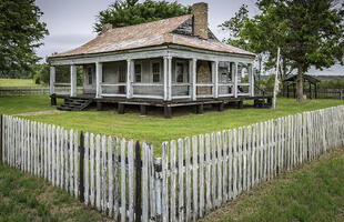 mansfield