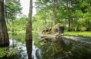A yellow airboat zips through a swamp in Louisiana on a cloudy day.