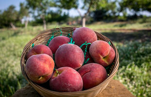 Ruston peaches