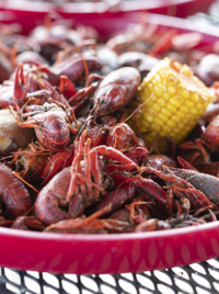 A steaming plate of boiled crawfish from famous joint Crawfish Haven/Mrs. Rose’s Bed and Breakfast.