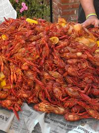 Boilded Crawfish