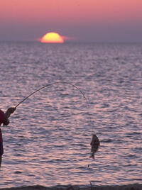 Sunset Surf Fishing