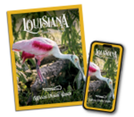 2026 Louisiana Travel Guide cover